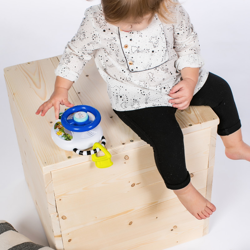 Baby Einstein Driving Tunes Toys for baby and kids